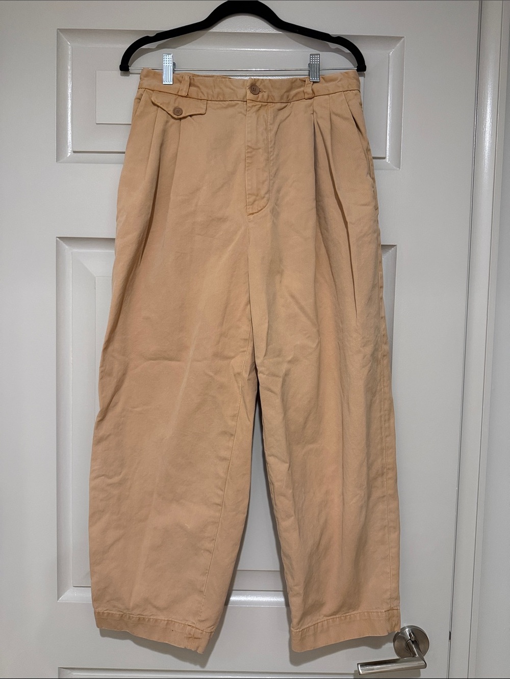 Agolde Becker Pants